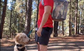 Scott A.'s photo of camping with pets at Woody Mountain near Flagstaff, AZ