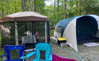 Rui T.'s photo at Camp Taylor Campground in New Jersey