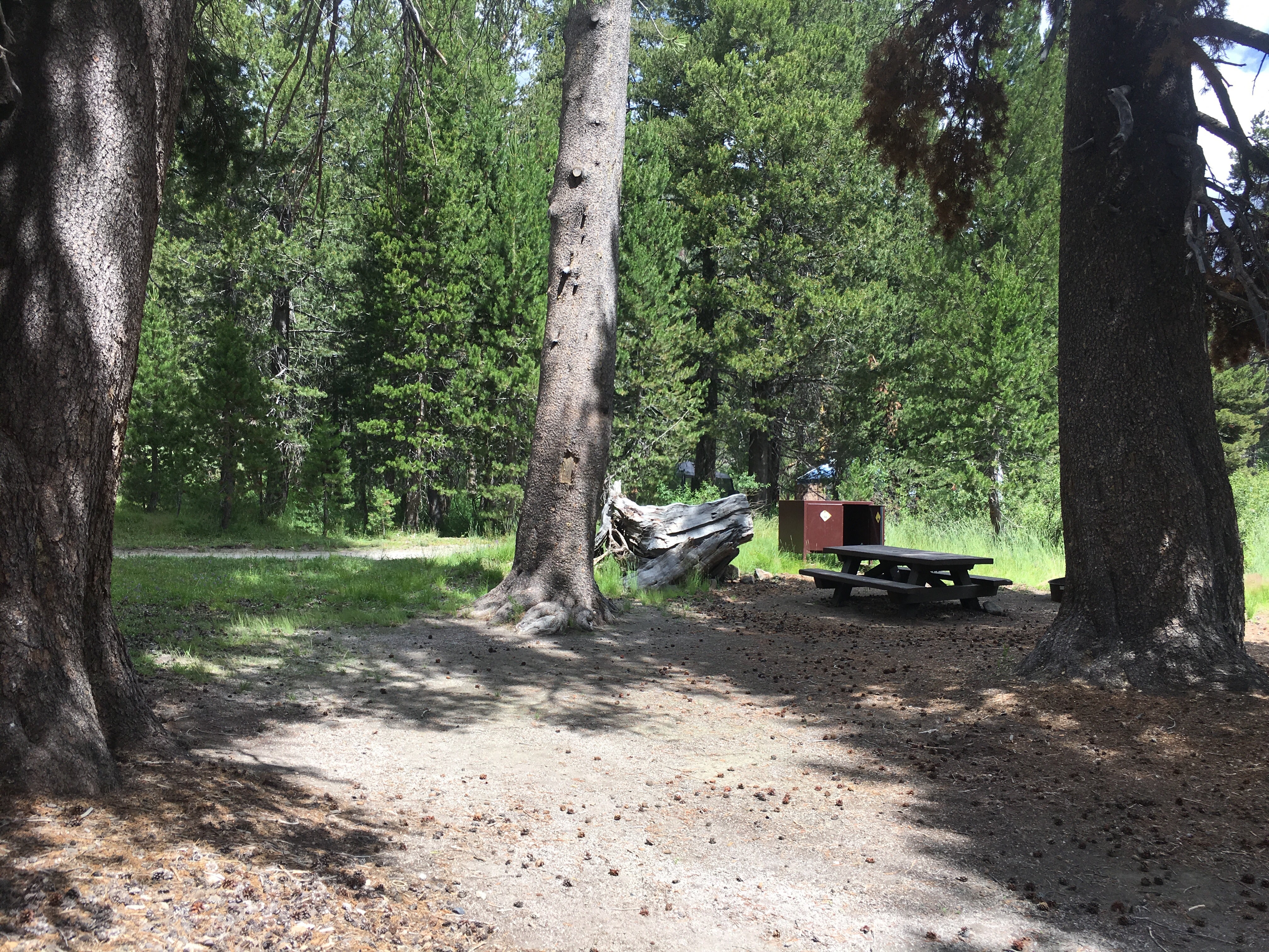 Camper submitted image from Minaret Falls Campground - 4
