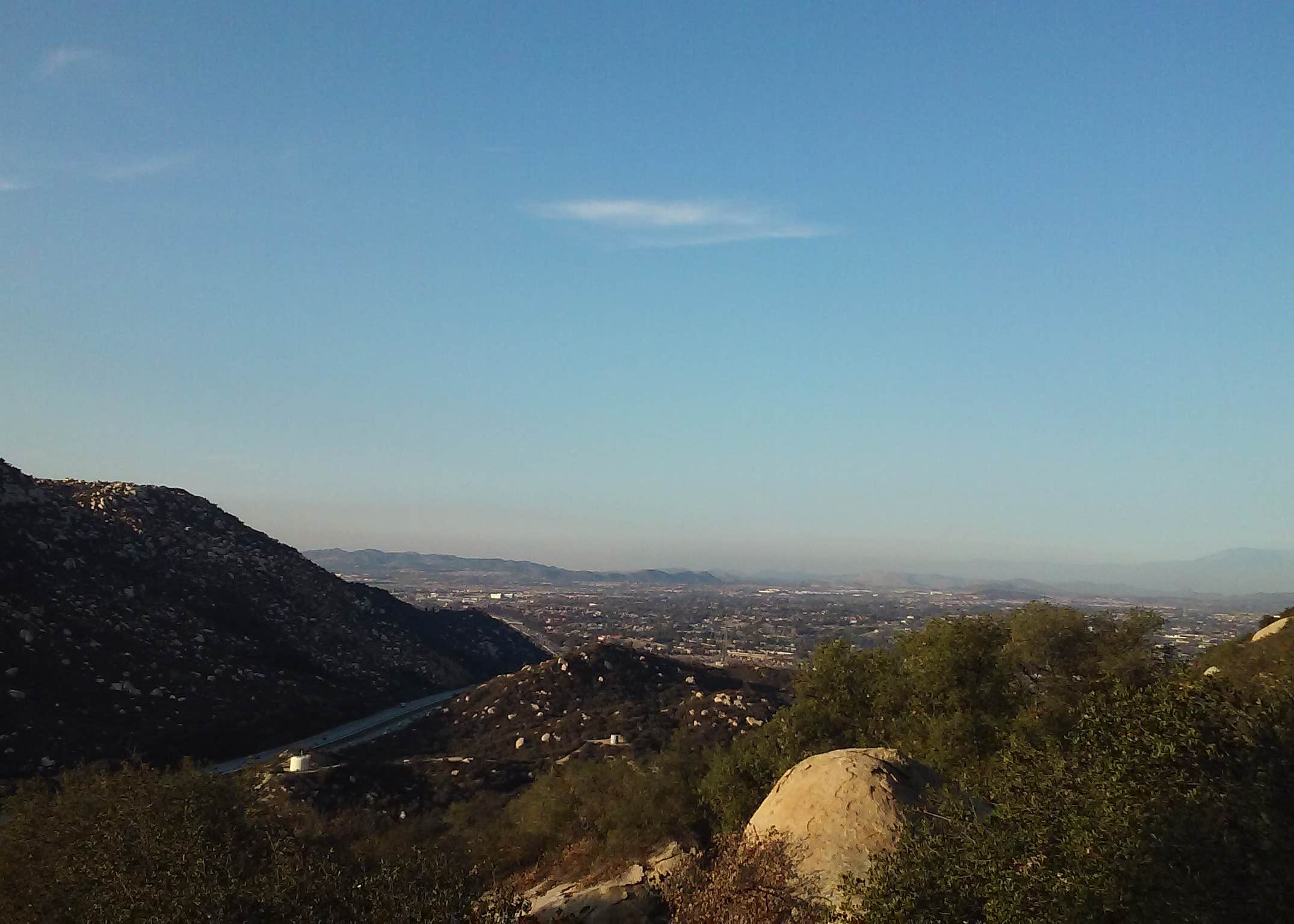 View All