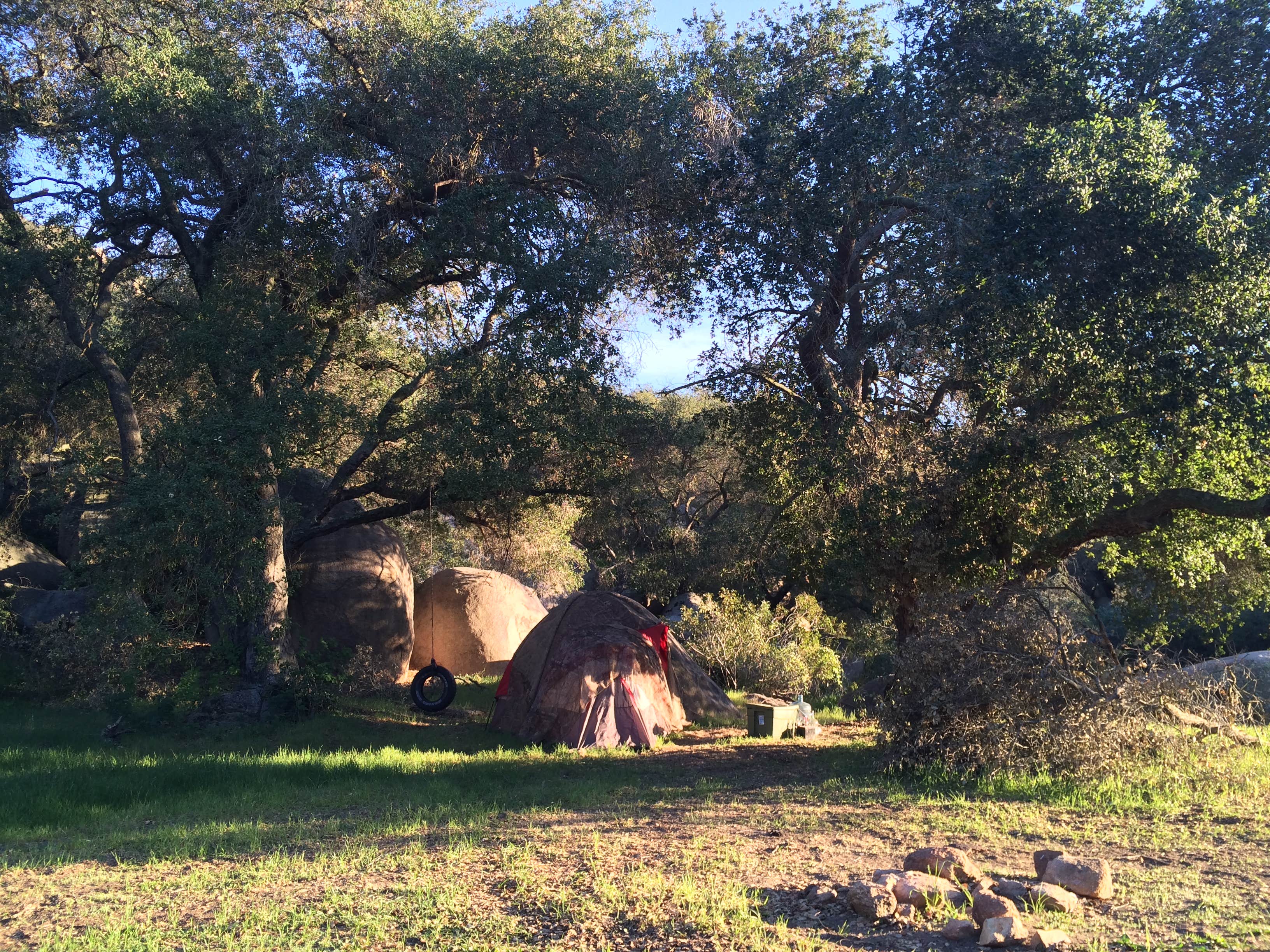 MT S.'s photo at MT SOMEWHERE near Cleveland National Forest