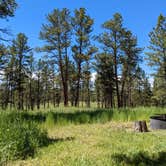 Review photo of Red Shale Campground & Geocache Site by Nick M., June 14, 2022