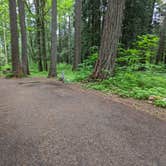 Review photo of Rainbow Falls State Park Campground by Laura M., June 14, 2022