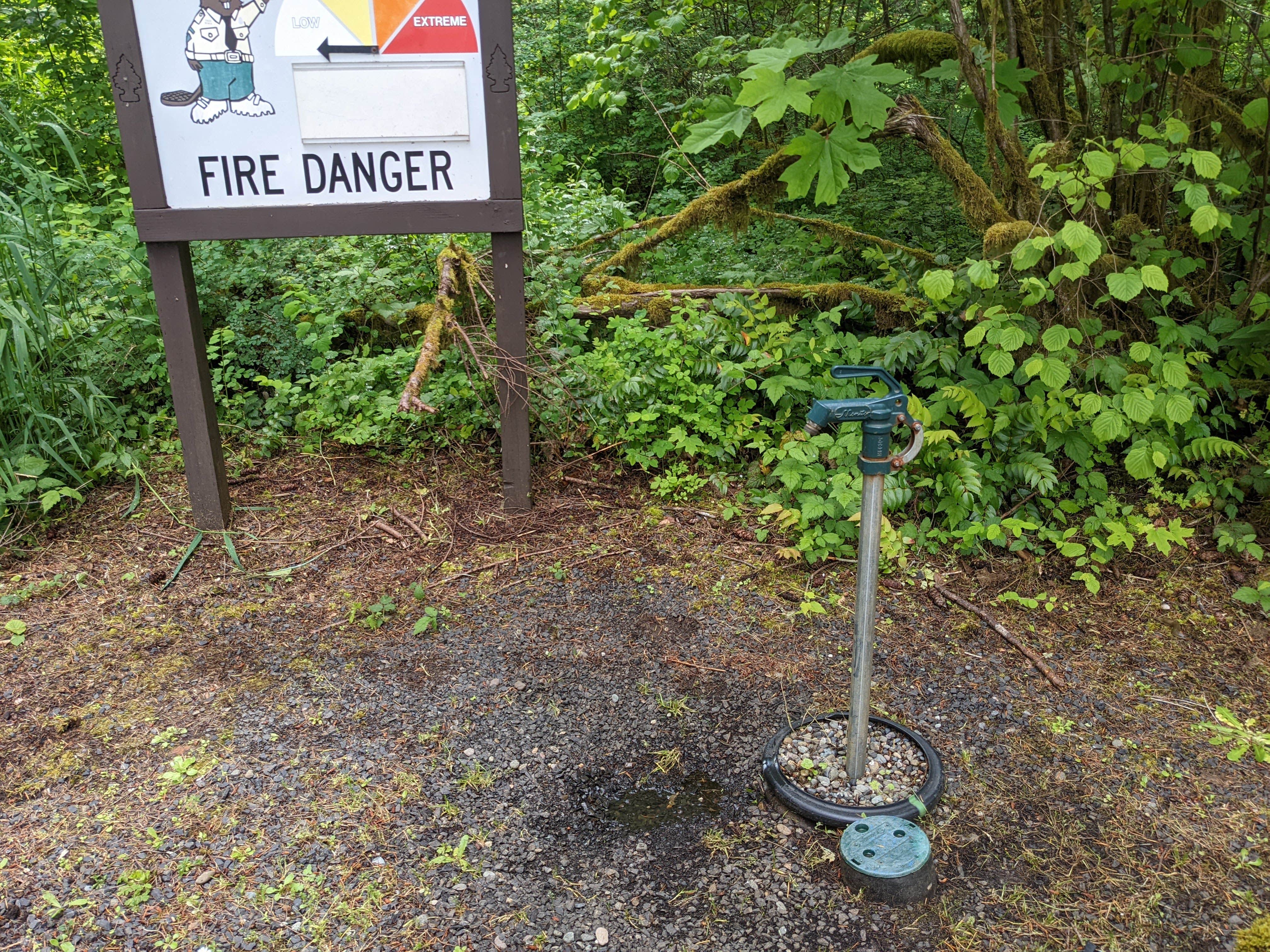 Camper submitted image from Rainbow Falls State Park Campground - 5