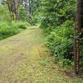 Review photo of Rainbow Falls State Park Campground by Laura M., June 14, 2022