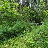 Review photo of Rainbow Falls State Park Campground by Laura M., June 14, 2022