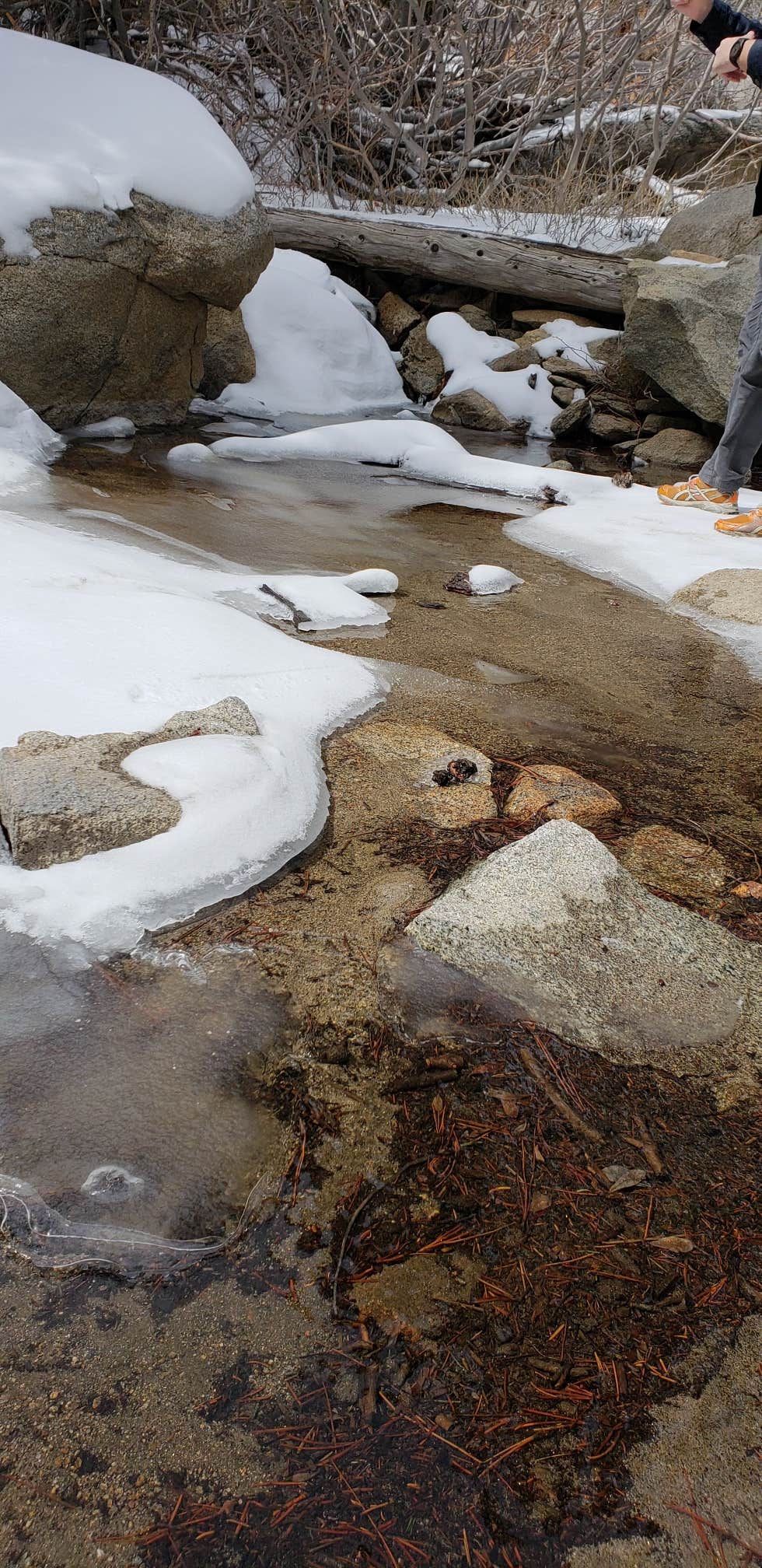 Camper-submitted photo at Round Valley Campsite — Mount San Jacinto State Park near Idyllwild-Pine Cove, CA