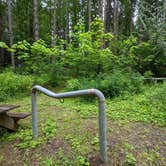 Review photo of Rainbow Falls State Park Campground by Laura M., June 14, 2022