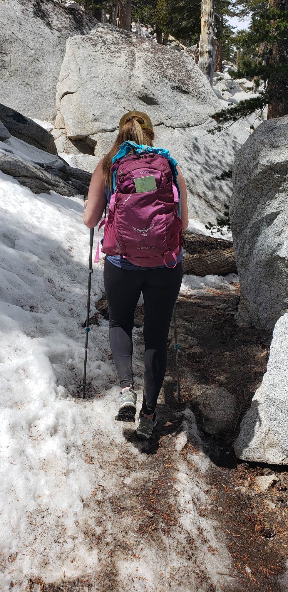 Camper-submitted photo at Round Valley Campsite — Mount San Jacinto State Park near Idyllwild-Pine Cove, CA