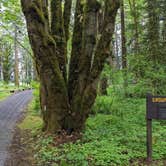 Review photo of Rainbow Falls State Park Campground by Laura M., June 14, 2022