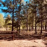 Review photo of Rim Campground by Jordan H., June 14, 2022