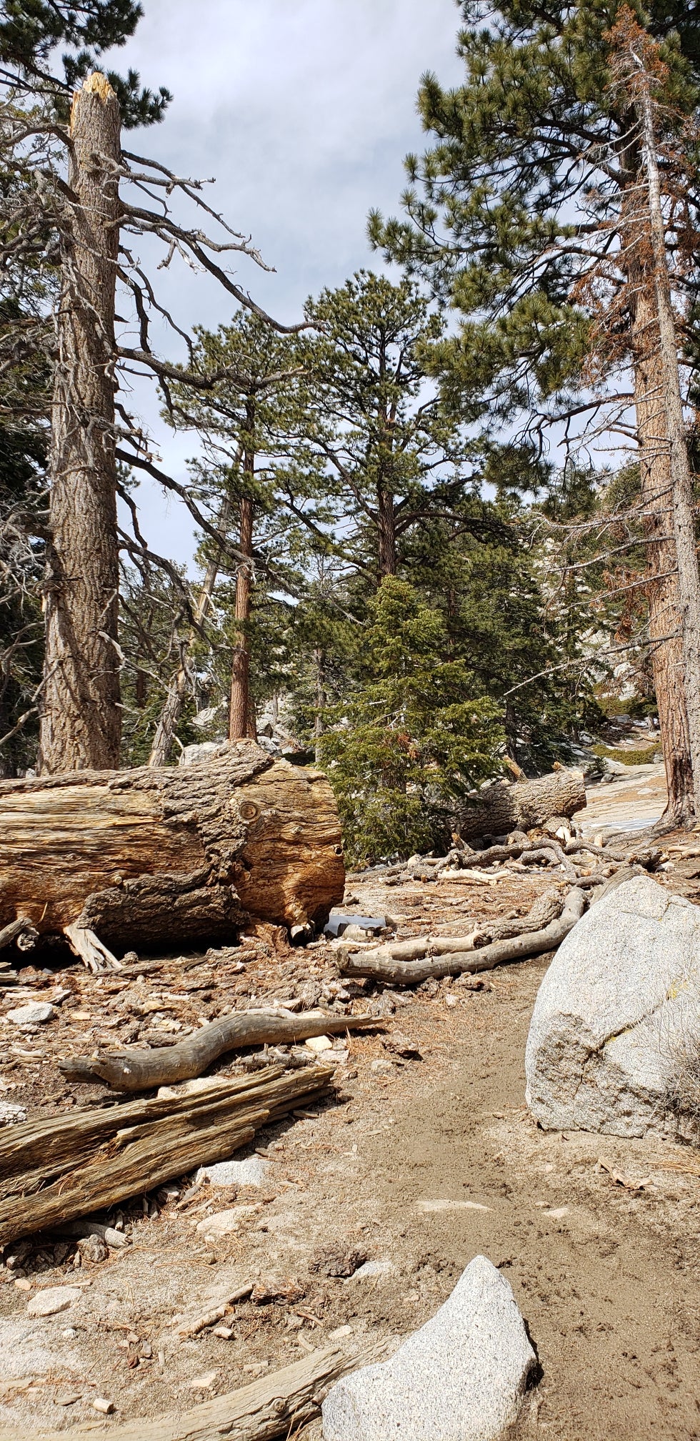 Camper submitted image from Round Valley Campsite — Mount San Jacinto State Park - 1