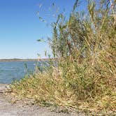 Review photo of Mittry Lake Wildlife Area by Katie O., July 14, 2018