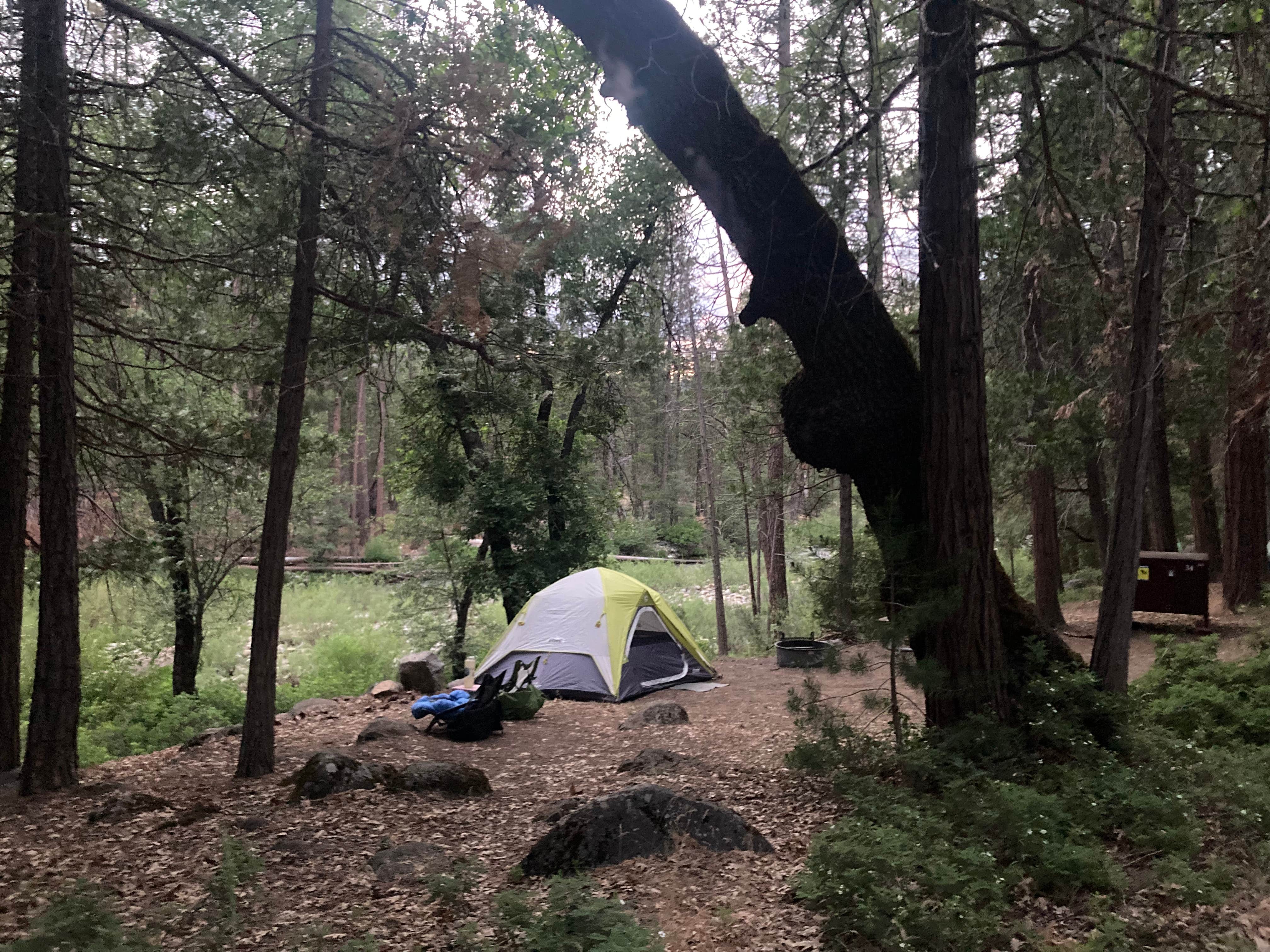 Chris &.'s photo at Wawona Campground — Yosemite National Park near Wawona, CA