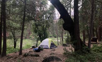 Chris &.'s photo at Wawona Campground — Yosemite National Park near Wawona, CA