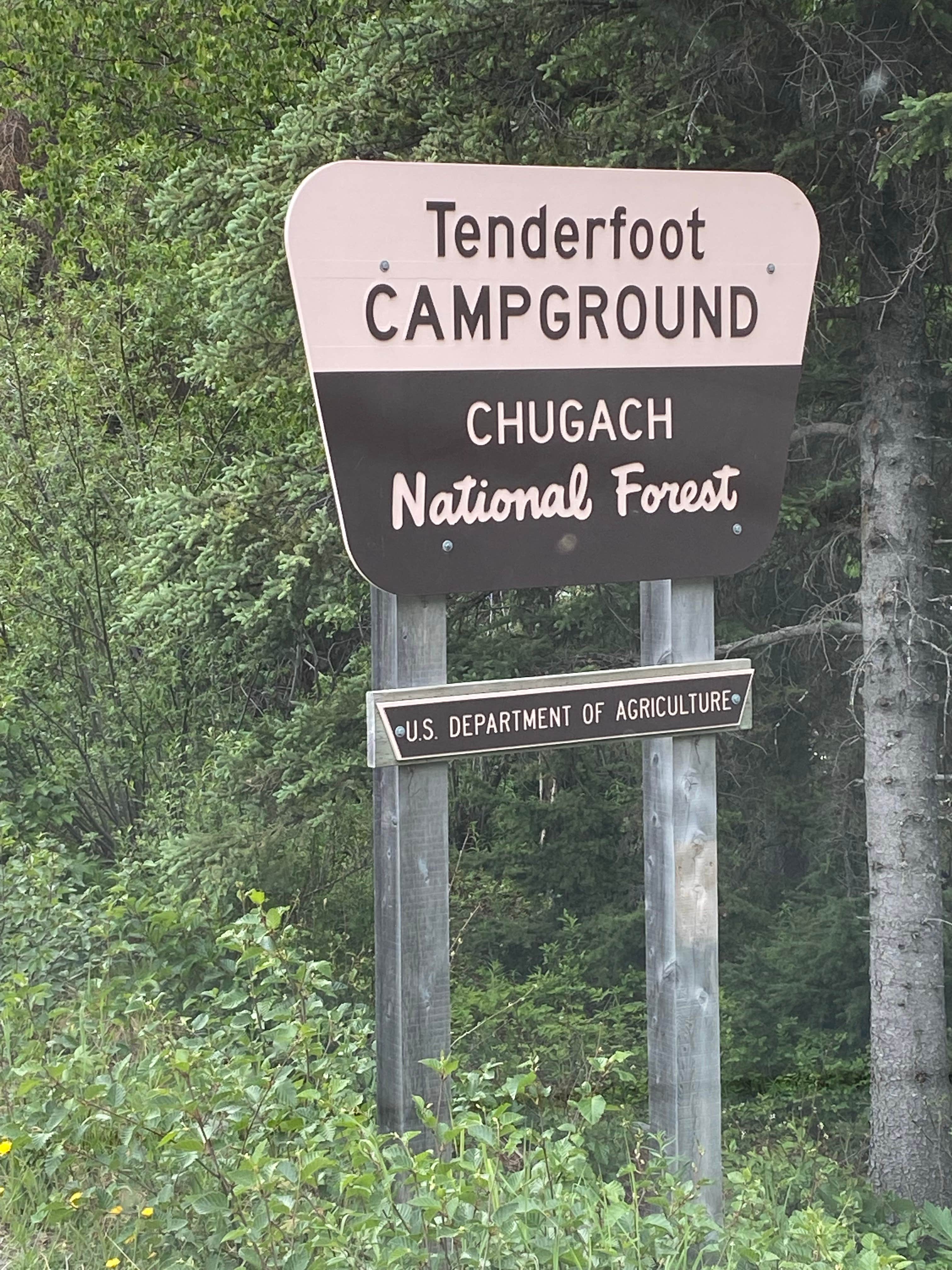 Tenderfoot hotsell creek campground