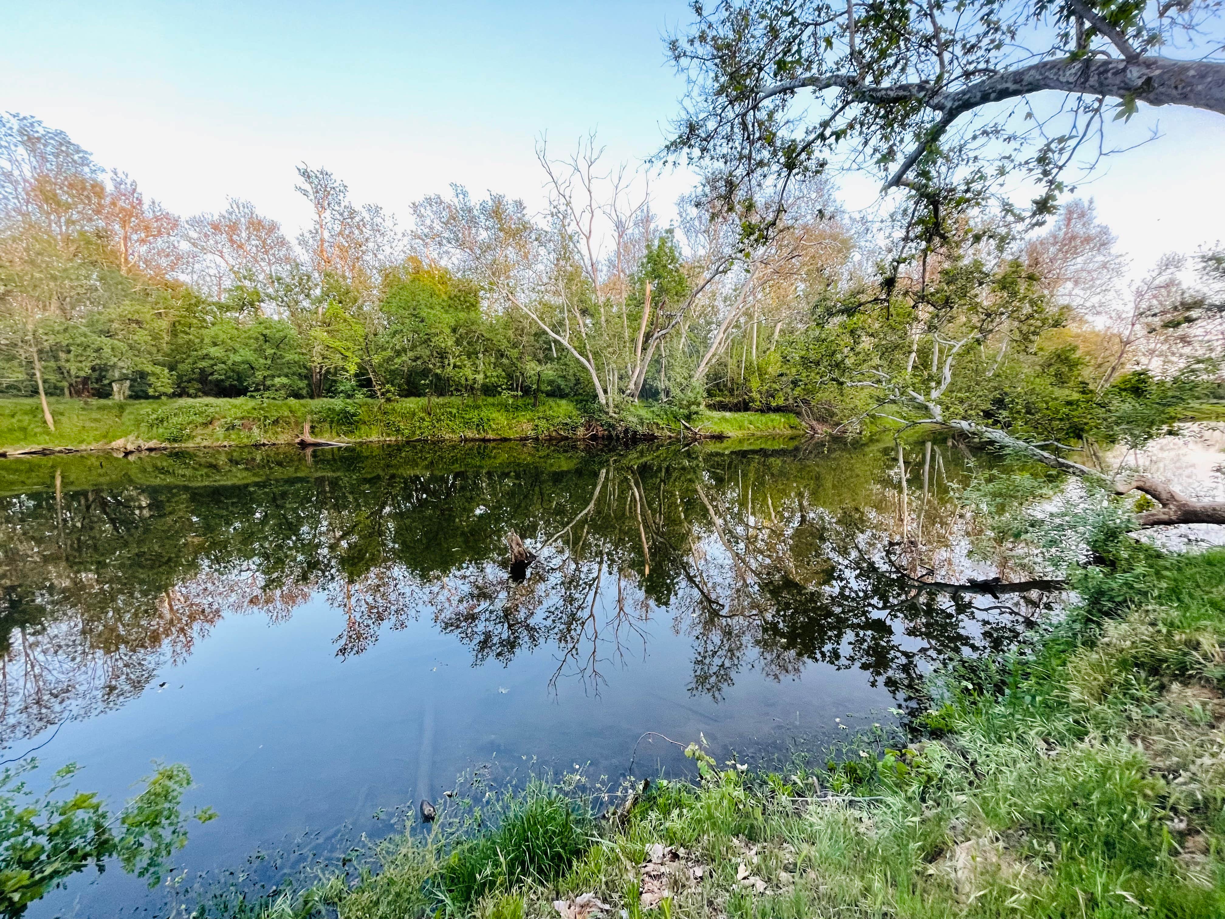 Camper-submitted photo at Sycamore Ranch RV Park near Gridley, CA