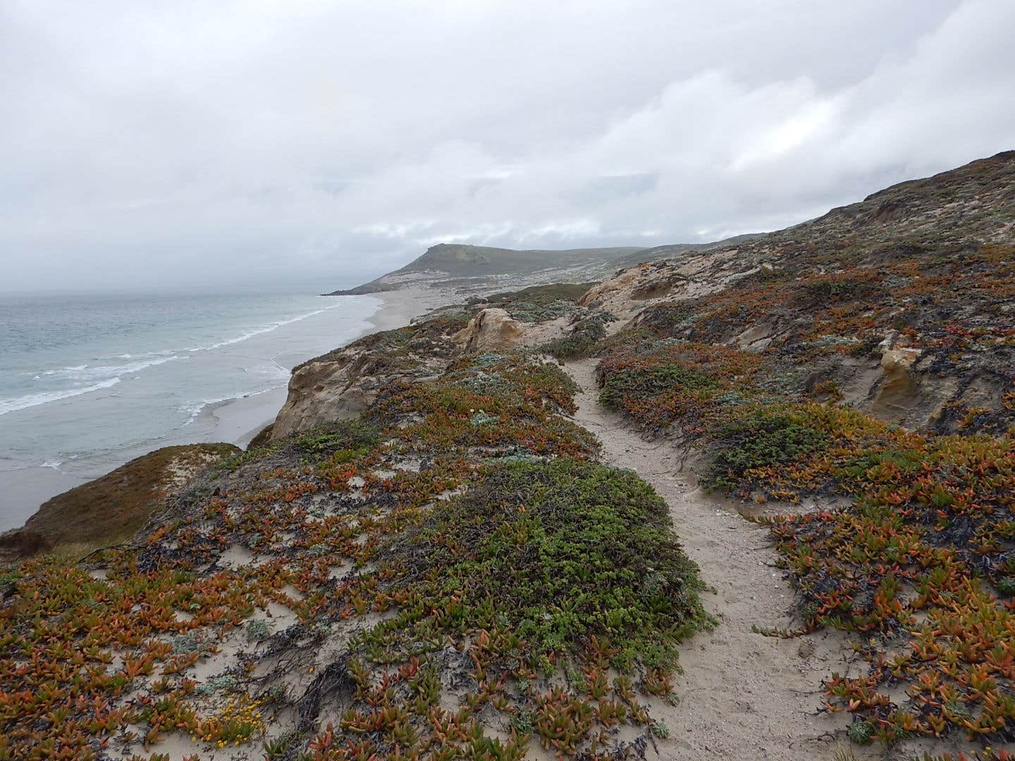 Camper-submitted photo at Santa Rosa Island Campground — Channel Islands National Park near Channel Islands National Park