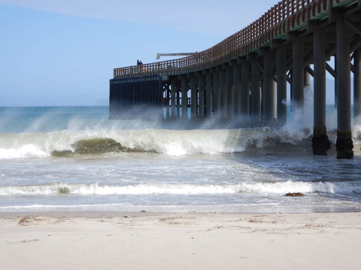 Camper-submitted photo at Santa Rosa Island Campground — Channel Islands National Park near Channel Islands National Park