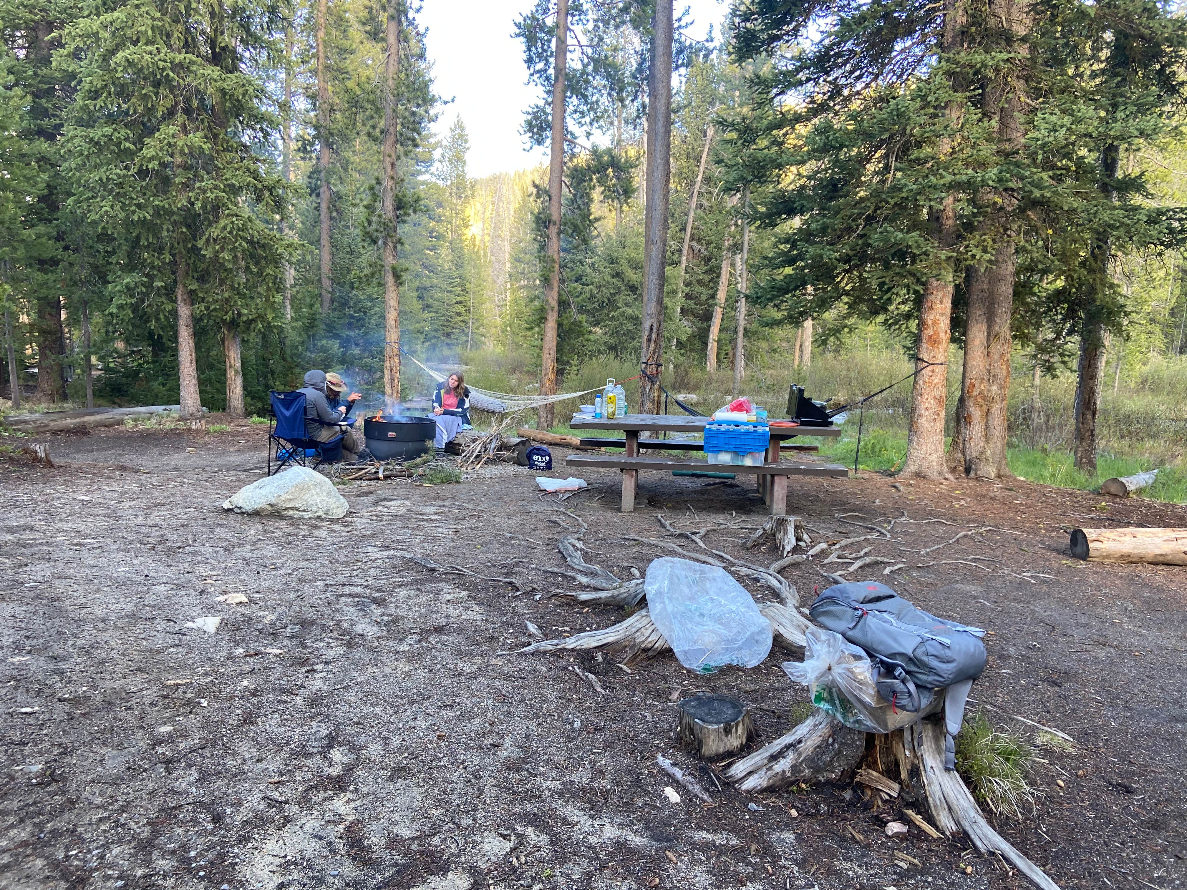 Jennifer T.'s photo at Iron Creek Campground near Stanley, ID
