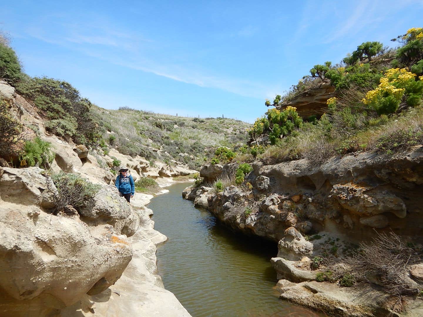 Camper-submitted photo at Santa Rosa Island Campground — Channel Islands National Park near Channel Islands National Park