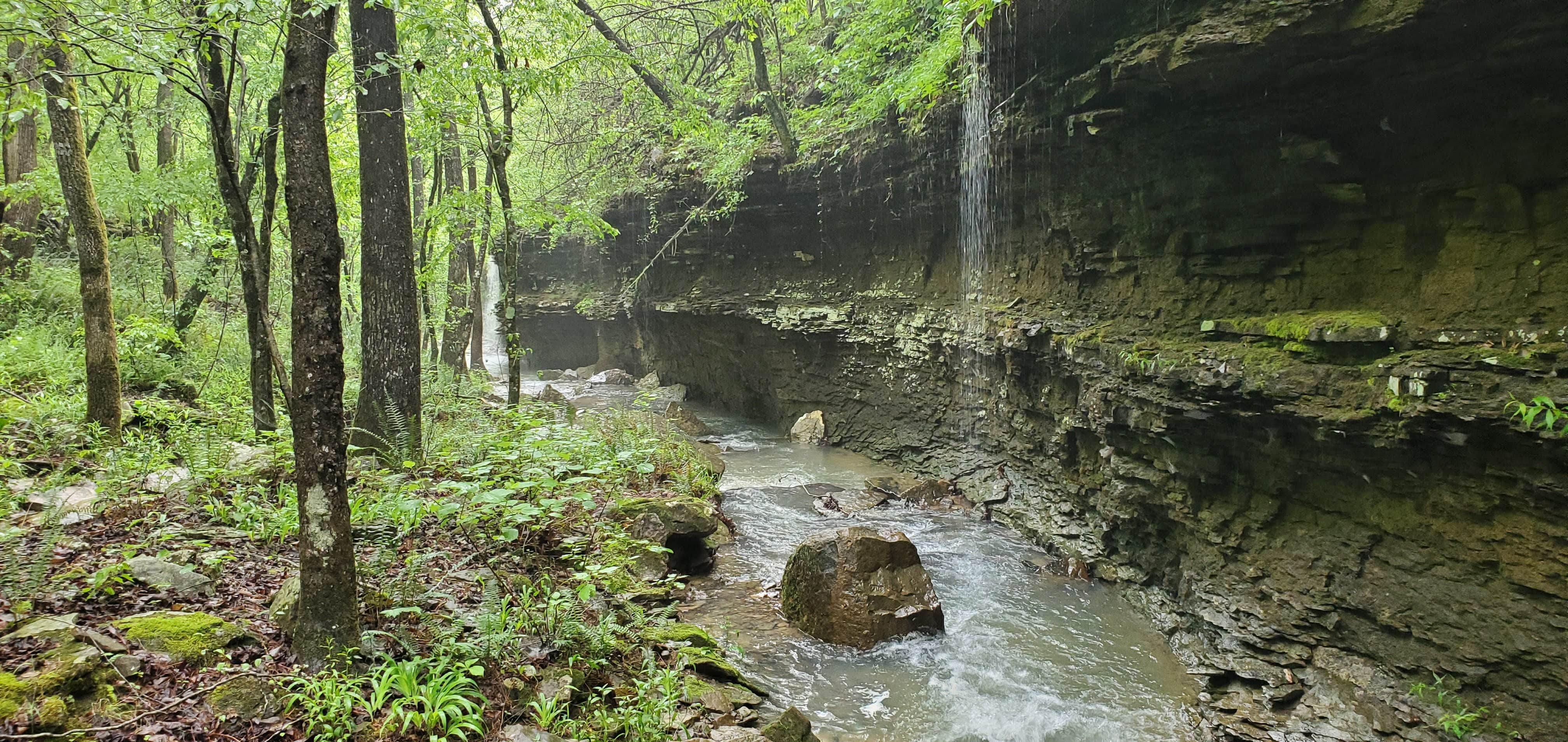 Camper-submitted photo at Hillbilly Hippie Hideaway near Leslie, AR
