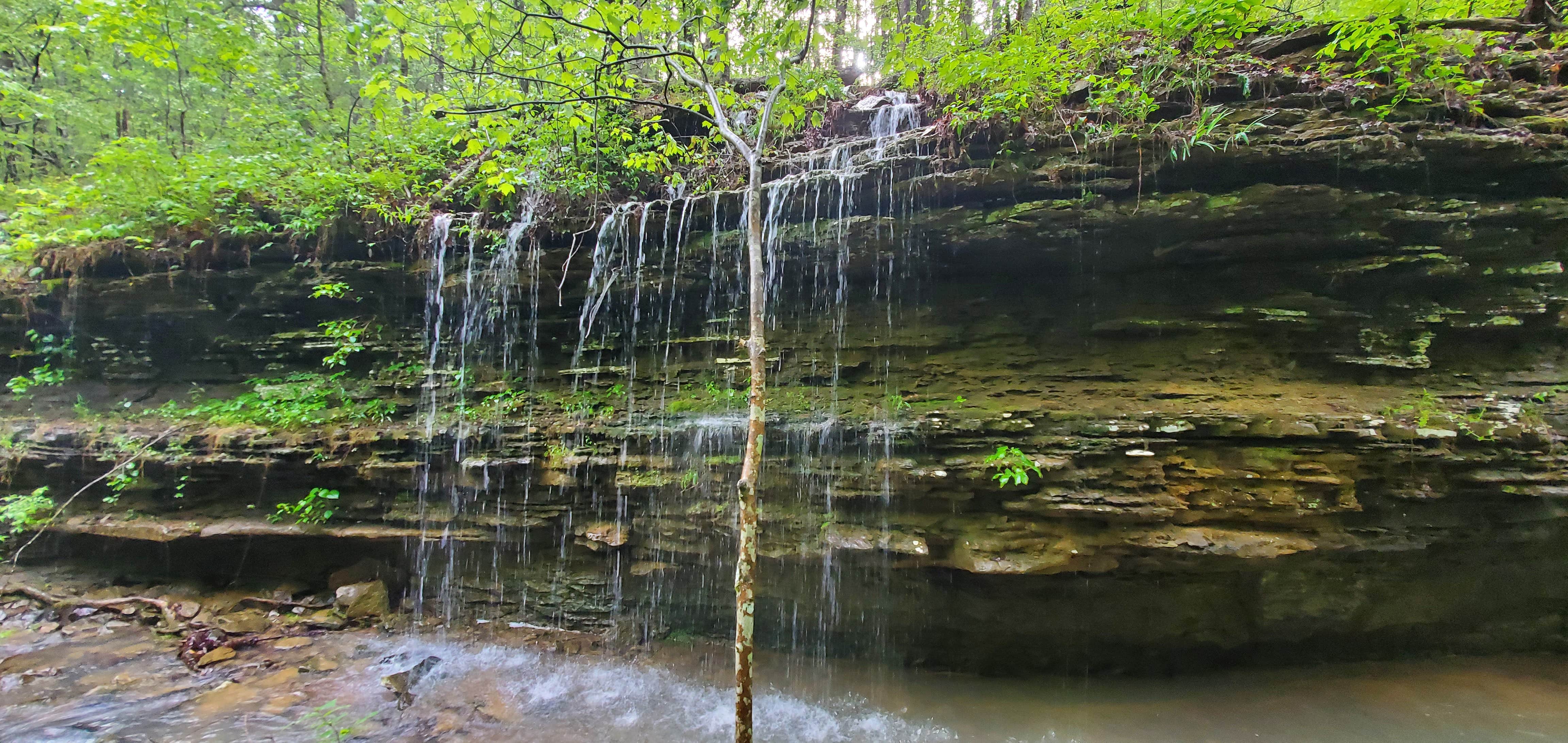 Camper-submitted photo at Hillbilly Hippie Hideaway near Leslie, AR