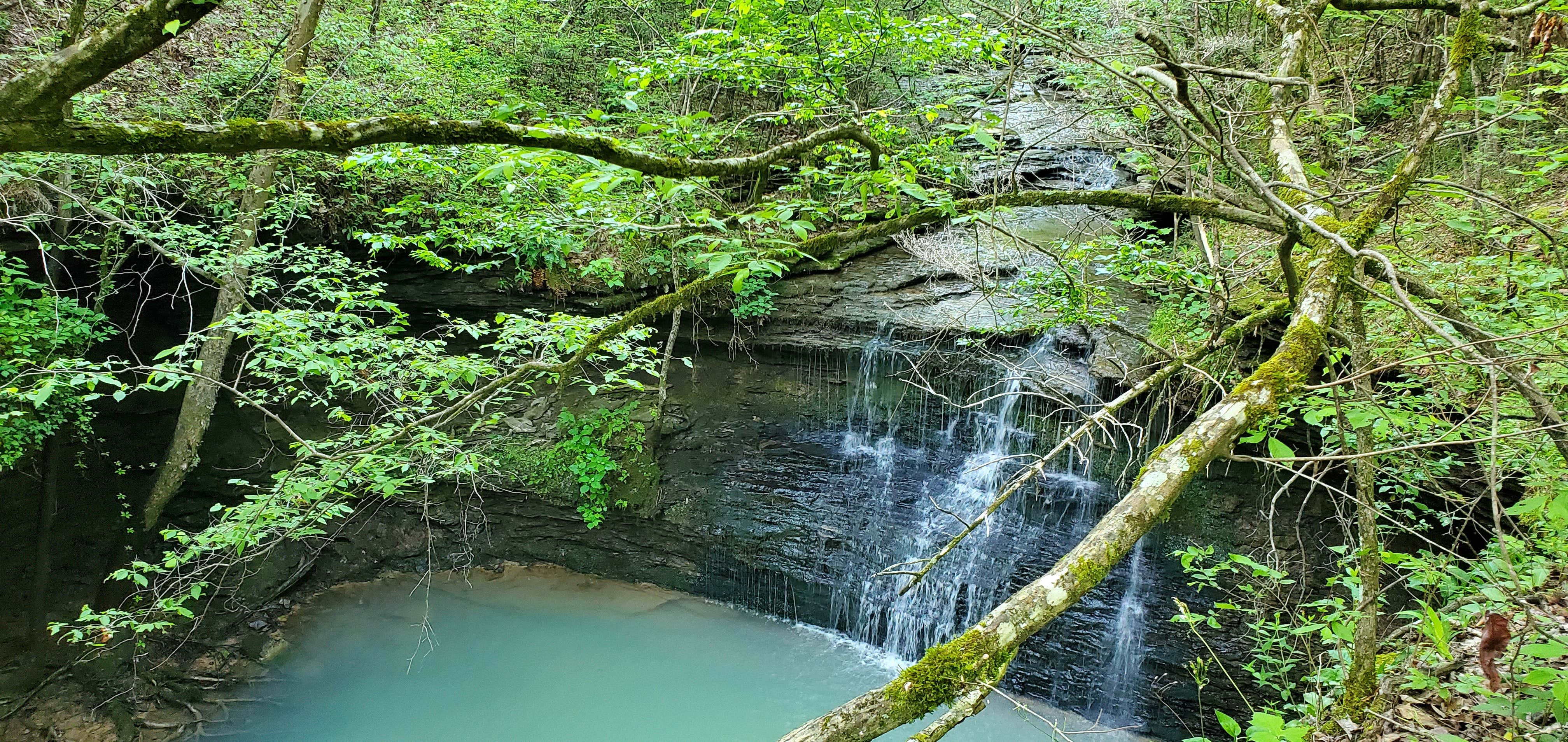 Camper-submitted photo at Hillbilly Hippie Hideaway near Leslie, AR
