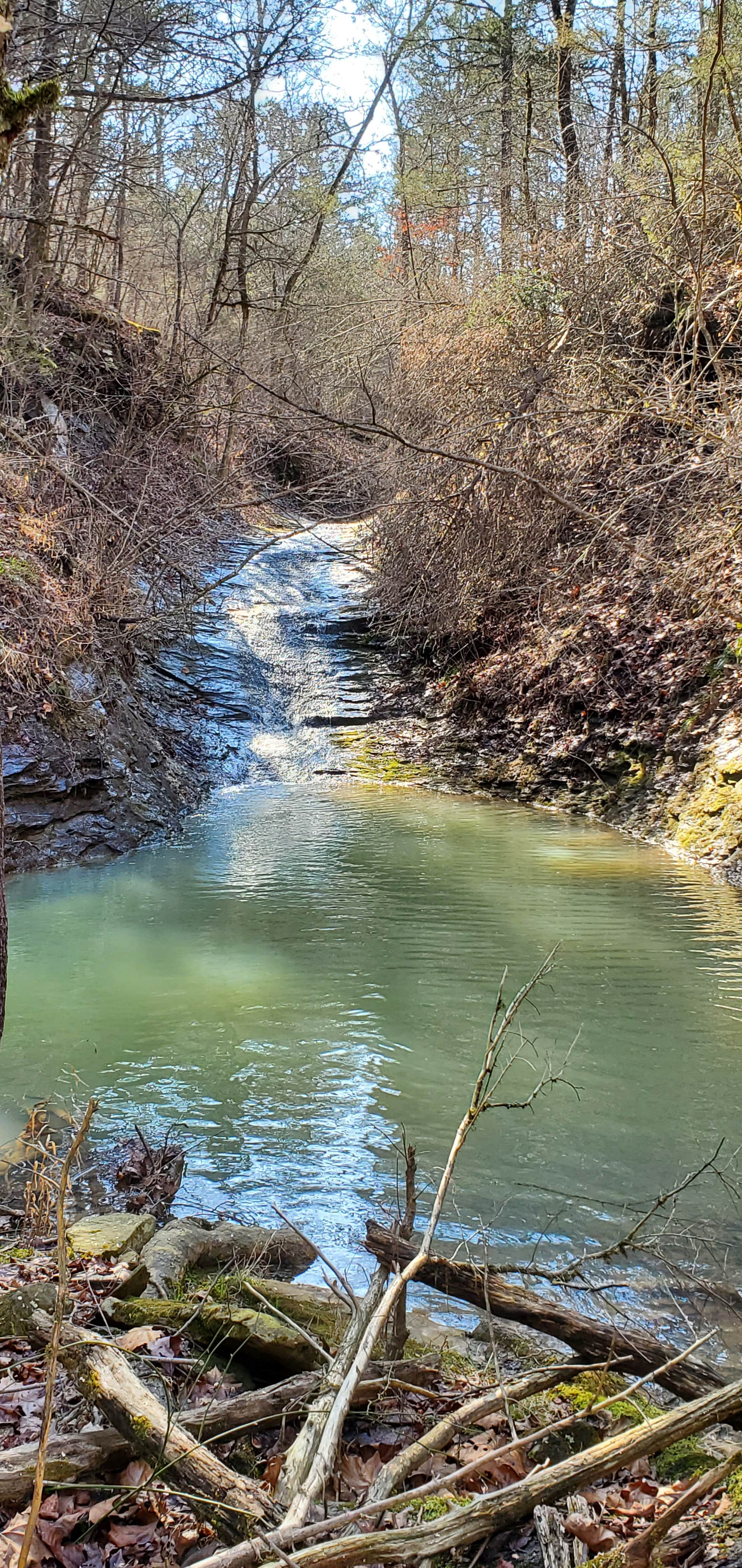 Camper-submitted photo at Hillbilly Hippie Hideaway near Leslie, AR