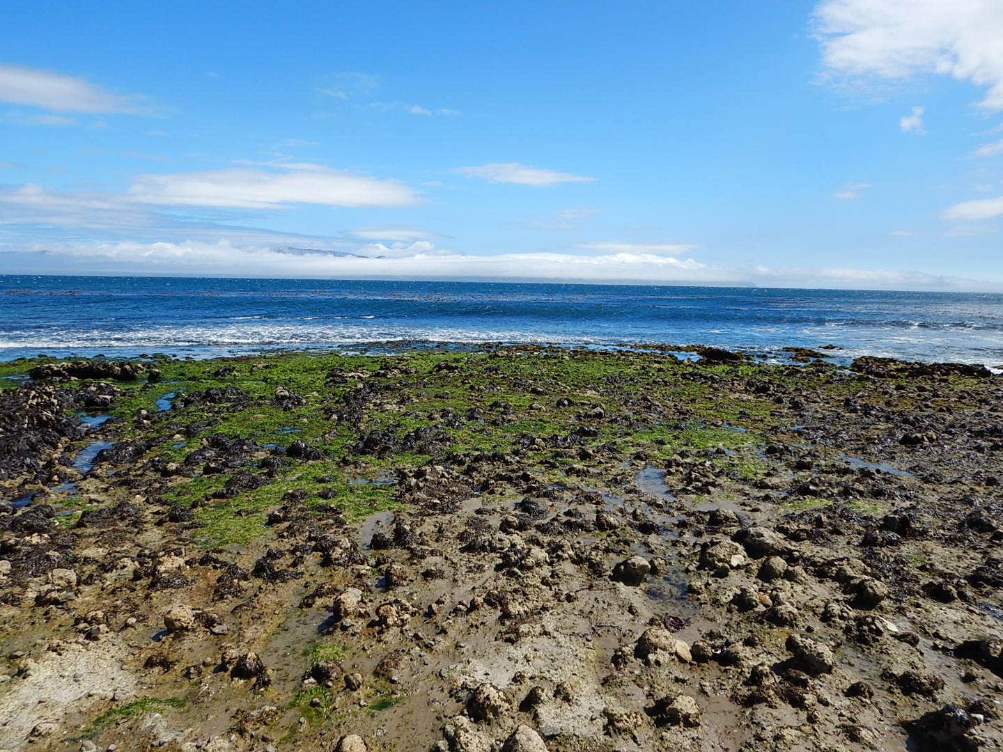 Camper-submitted photo at Santa Rosa Island Campground — Channel Islands National Park near Channel Islands National Park