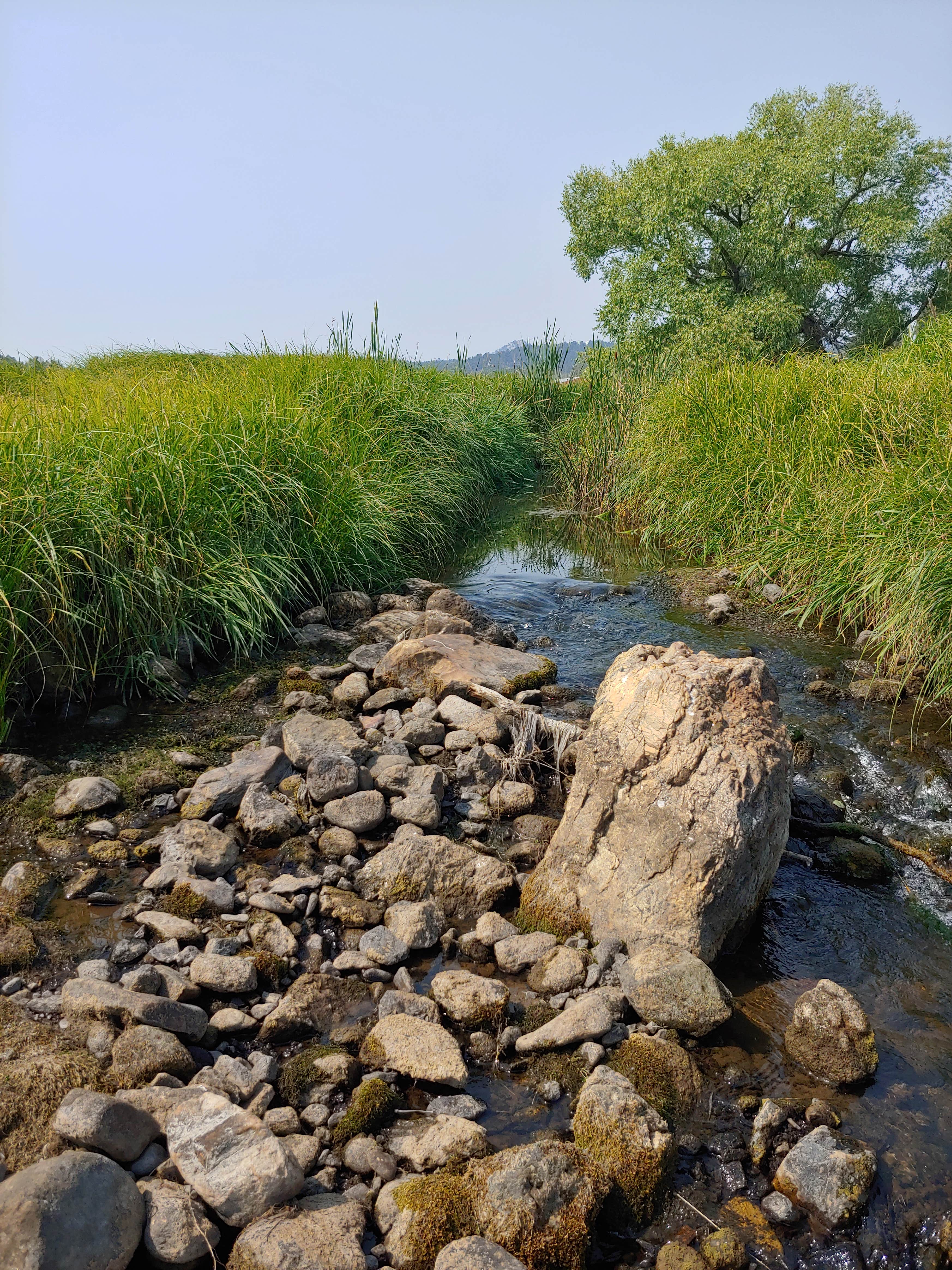 Camper-submitted photo at Custers Last Chance RV Park and Campground near Fairburn, SD