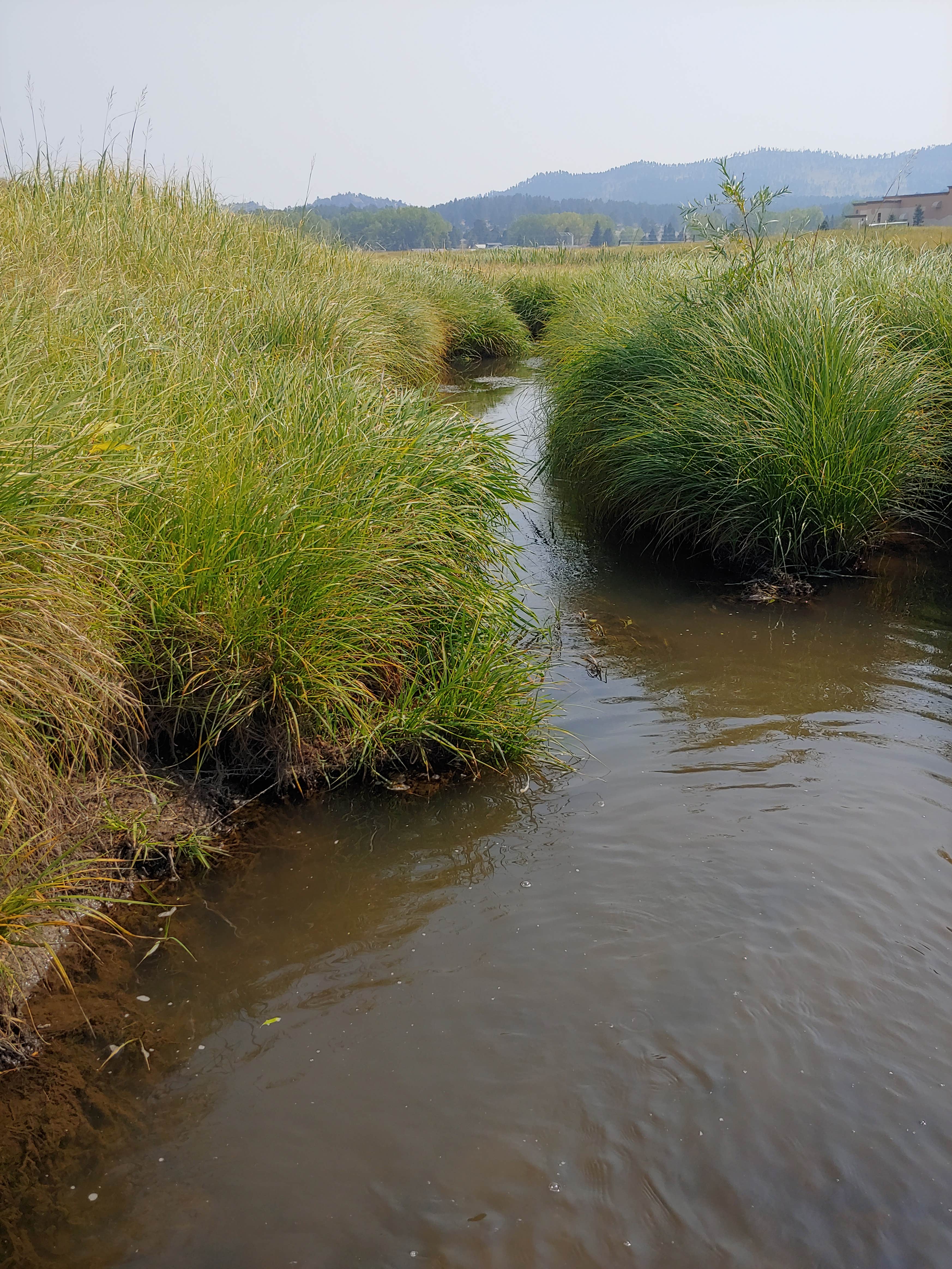 Camper-submitted photo at Custers Last Chance RV Park and Campground near Fairburn, SD