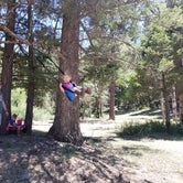 Review photo of Bailey Canyon Campground by Brittany N., July 16, 2018