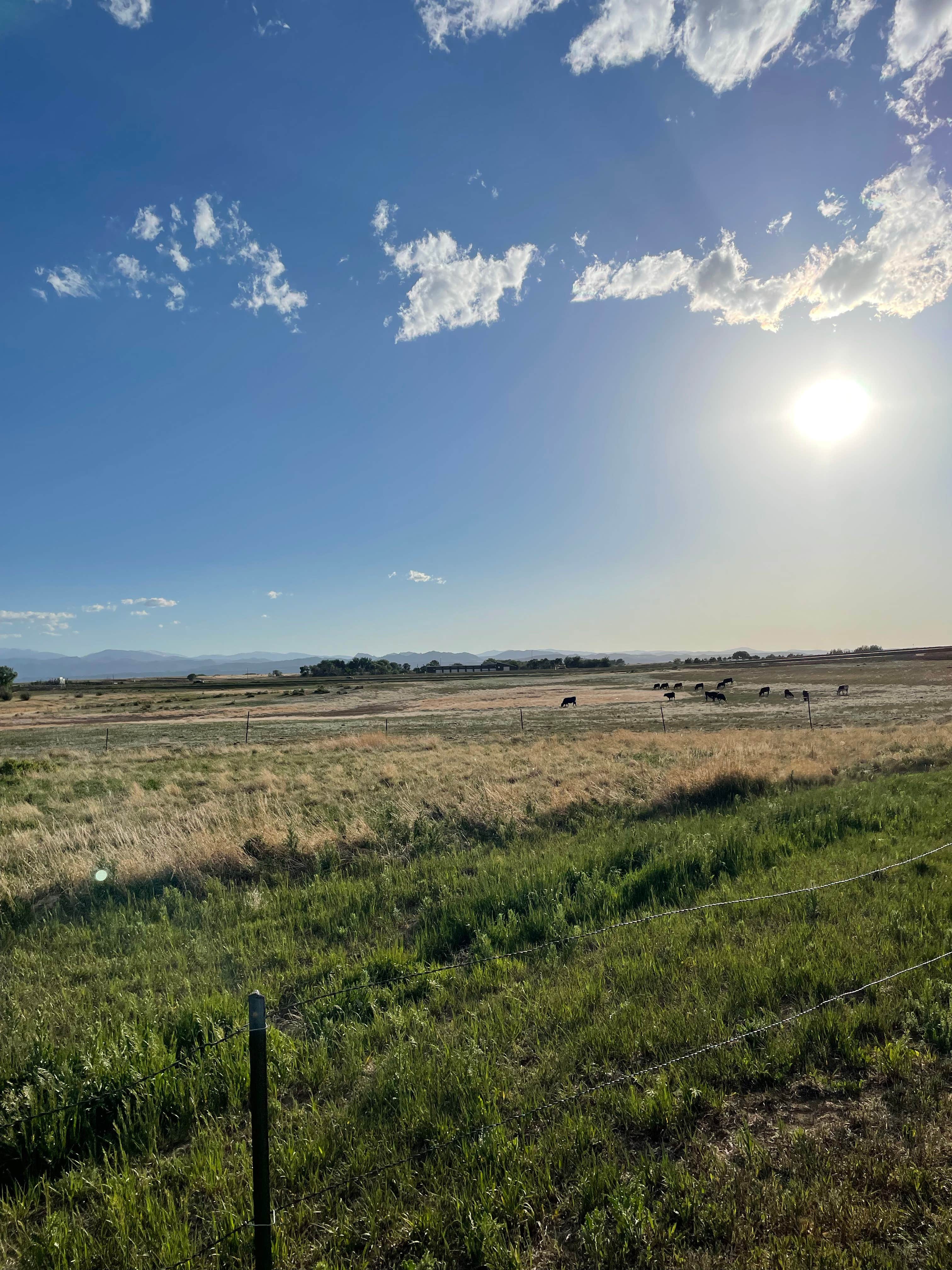 Camper-submitted photo at Fort Collins North-Wellington KOA near Ault, CO