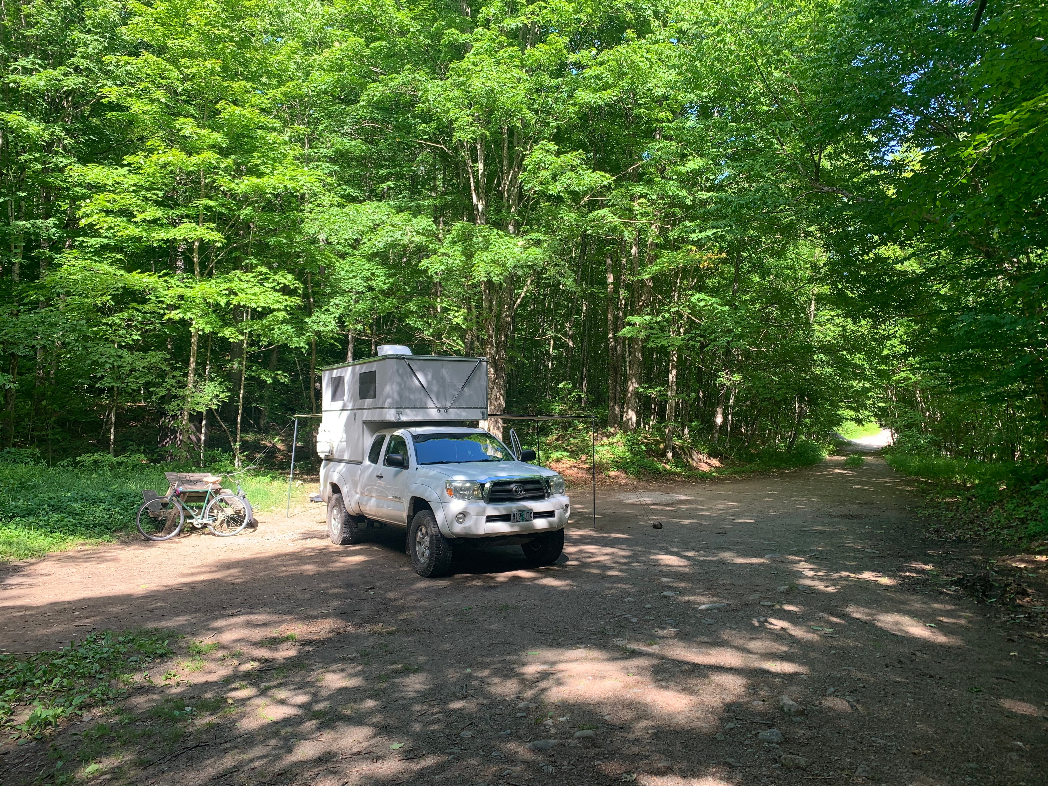 Camper submitted image from Moose River Plains - 3