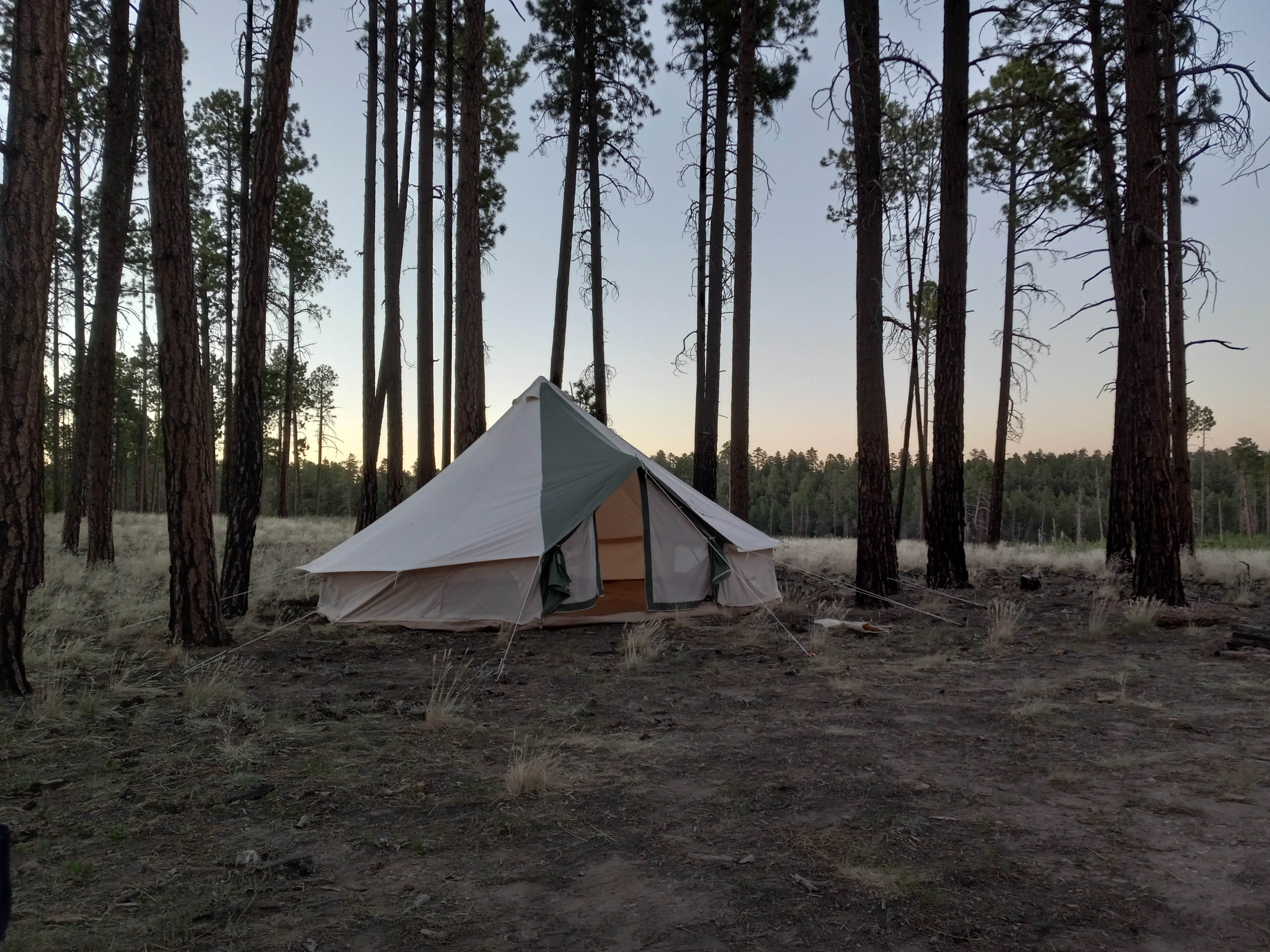 Camper submitted image from Forest Service #225 Road Dispersed Camping - 3