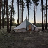 Review photo of Forest Service #225 Road Dispersed Camping by Fortune O., June 15, 2022
