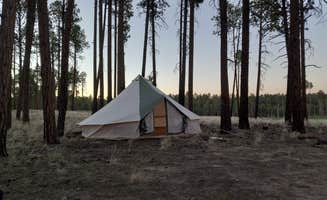 Fortune O.'s photo at Forest Service #225 Road Dispersed Camping near Jacob Lake, AZ