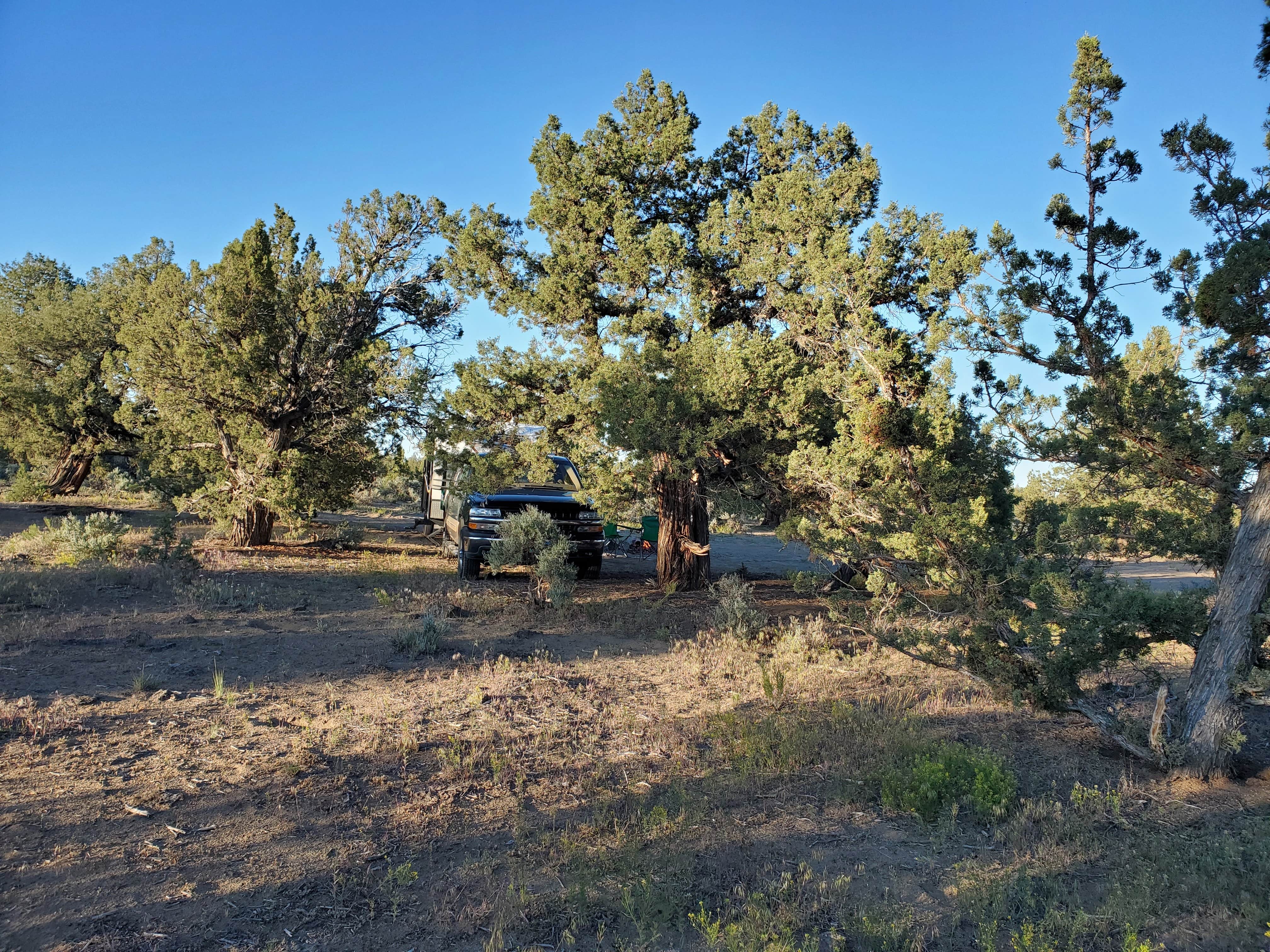 Ochoco National Forest and Crooked River National Grassland photo 2