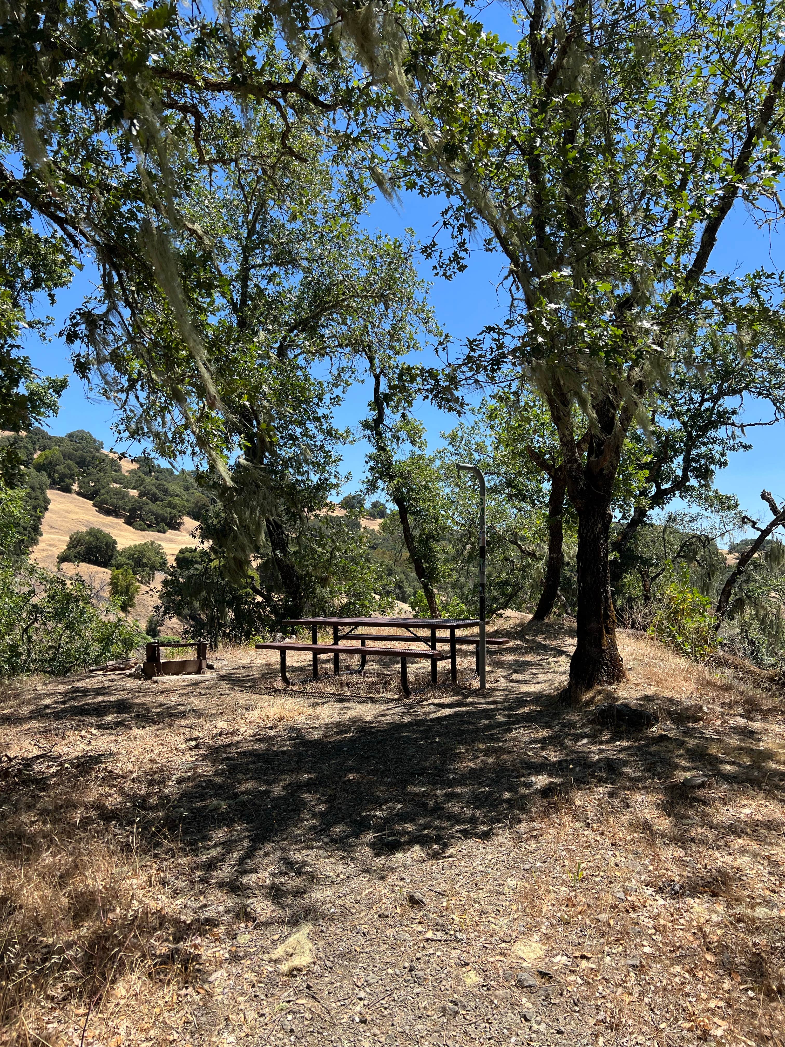 Camper submitted image from Boat-in Sites (lake Sonoma) - 2