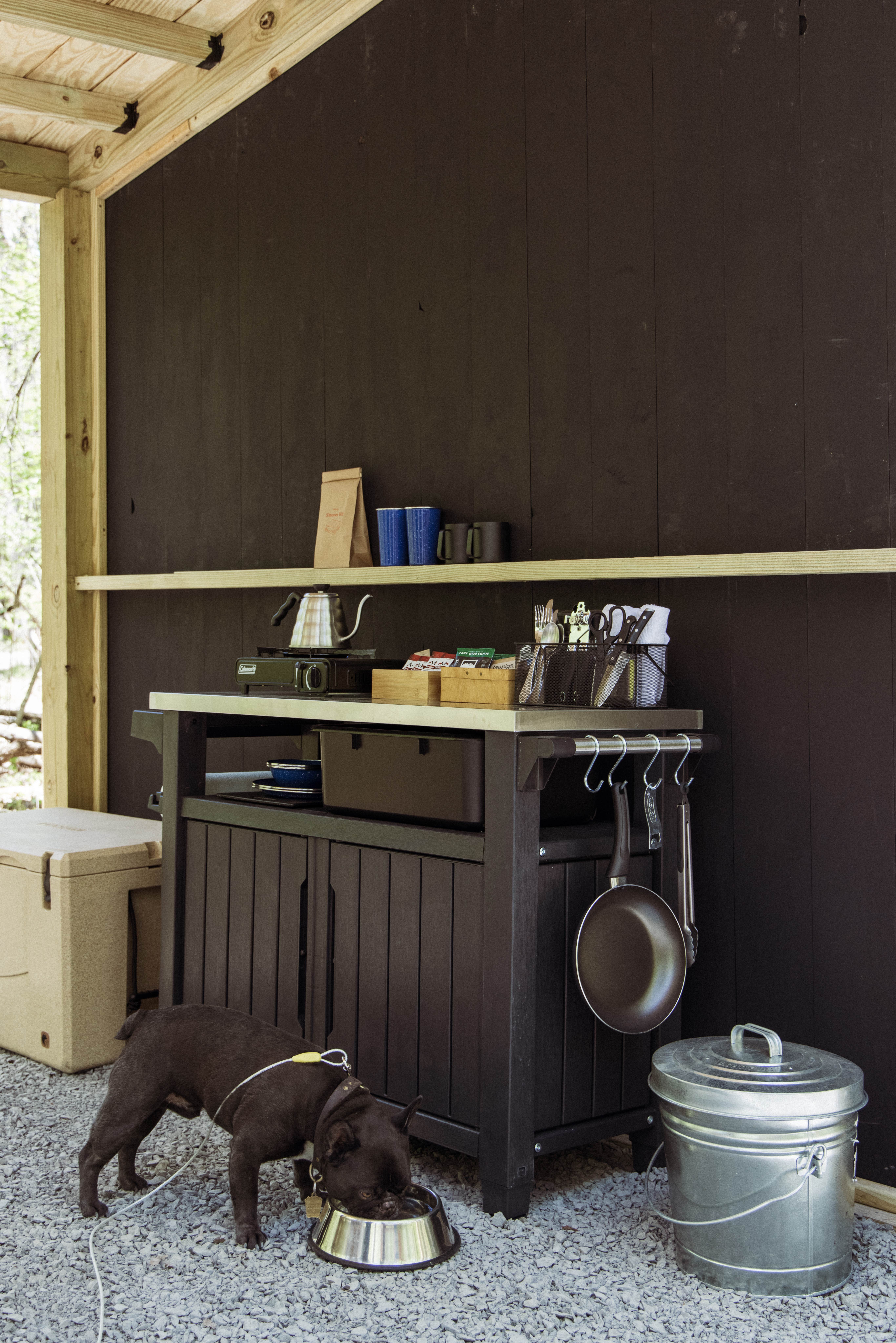 Getaway H.'s photo of camping with pets at Getaway Catskill Campground - New York near Catskill, NY