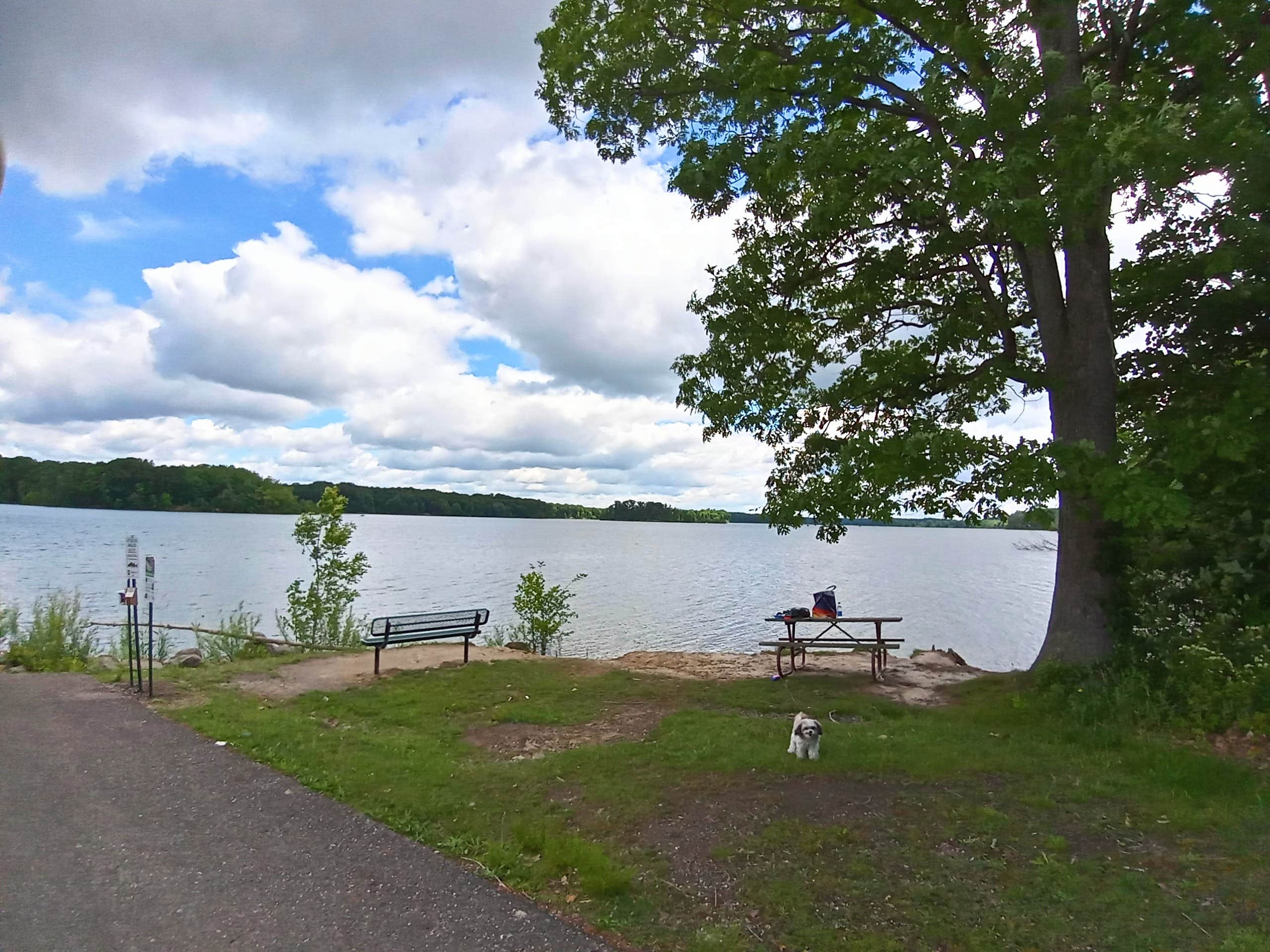 Tiffany C.'s photo of camping with pets at West Branch State Park Campground near Limaville, OH