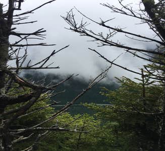 Camper-submitted photo from Lafayette Place Campground — Franconia Notch State Park