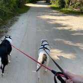 Review photo of Tomoka State Park Campground by Jeff A., June 13, 2022