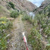 Review photo of Railroad Flat Campground by Chris &., June 15, 2022