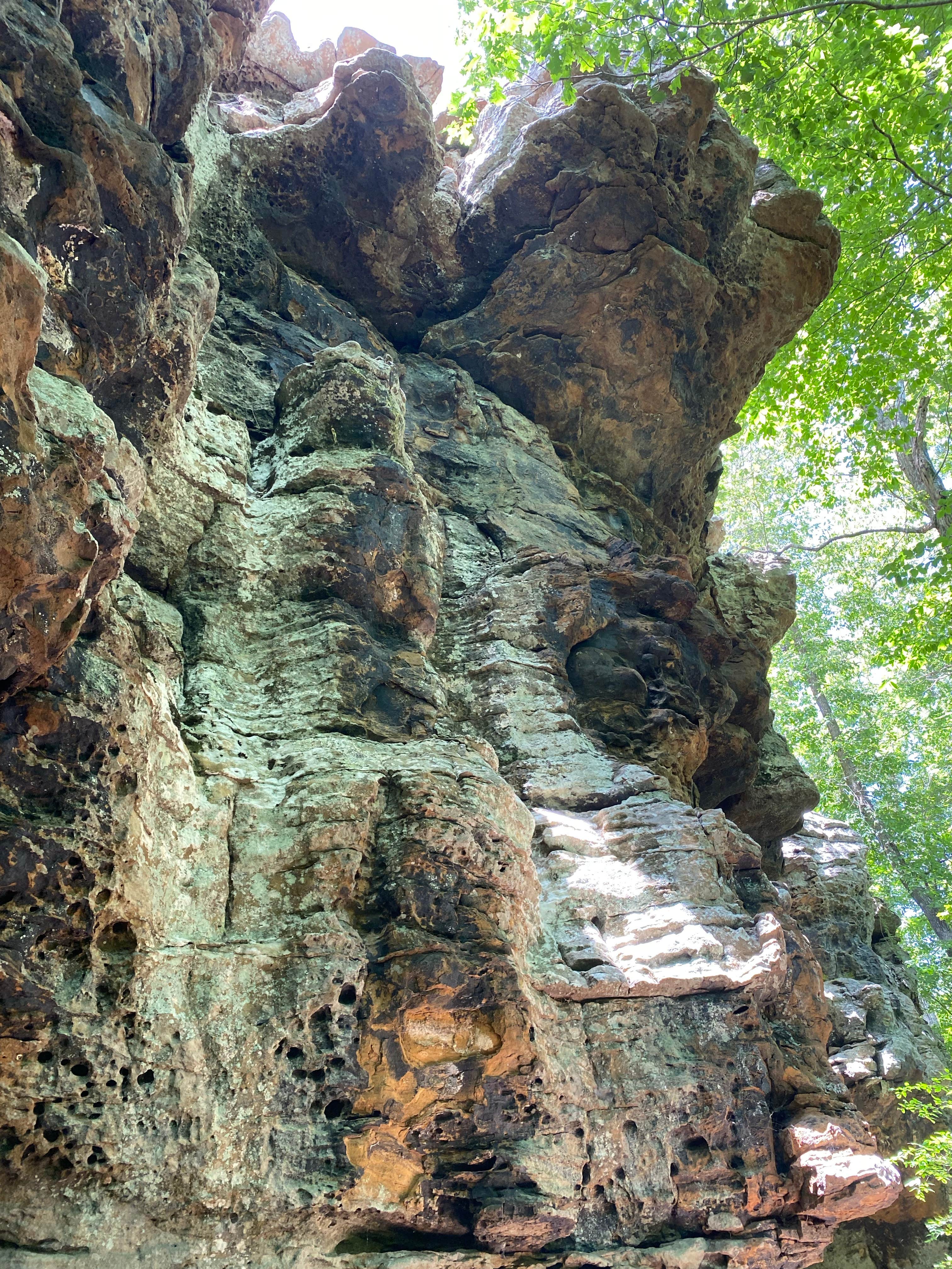 Camper-submitted photo at Macks Pines near Cleveland, AR