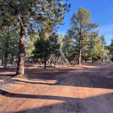 Review photo of Williams-Circle Pines KOA by Jose J., June 16, 2022