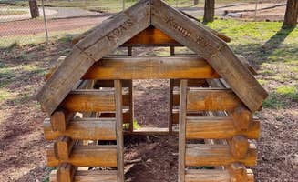 Jose J.'s photo of glamping accommodations at Williams-Circle Pines KOA near Kaibab National Forest