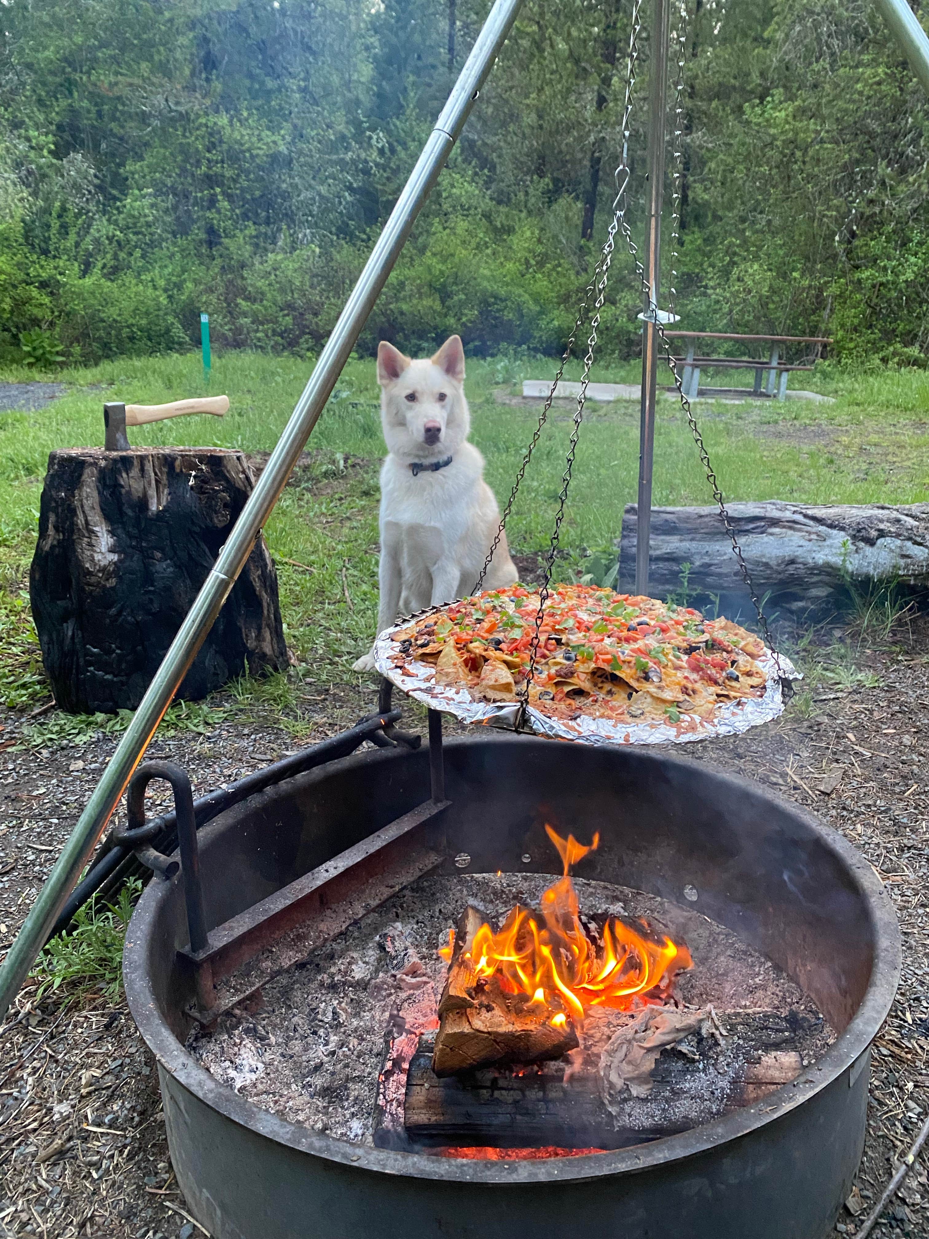 Gabrielle L.'s photo of camping with pets at Spring Valley Reservoir near Moscow, ID