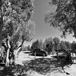 Pine Juniper Campground — Navajo Lake State Park
